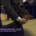 Image Credit: youtube.com/Westminster Kennel Club Dog Show